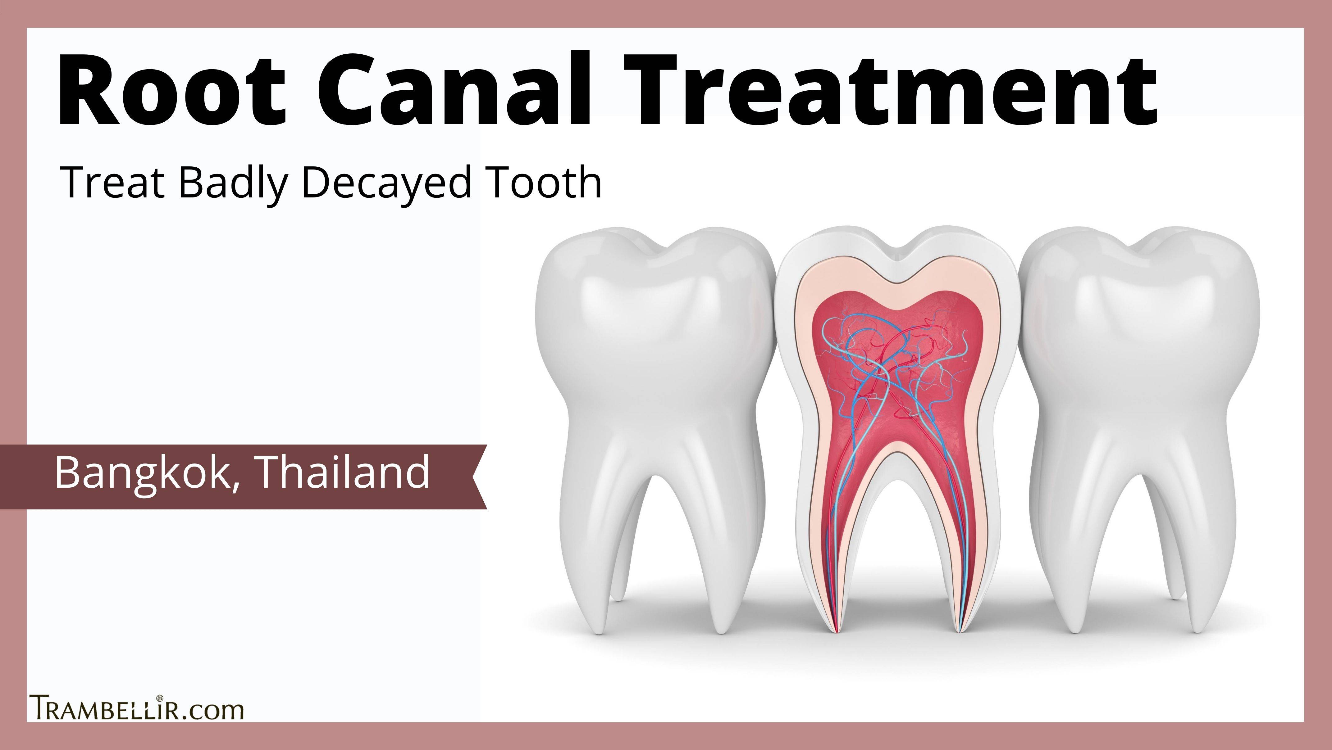 Extracted Tooth Root