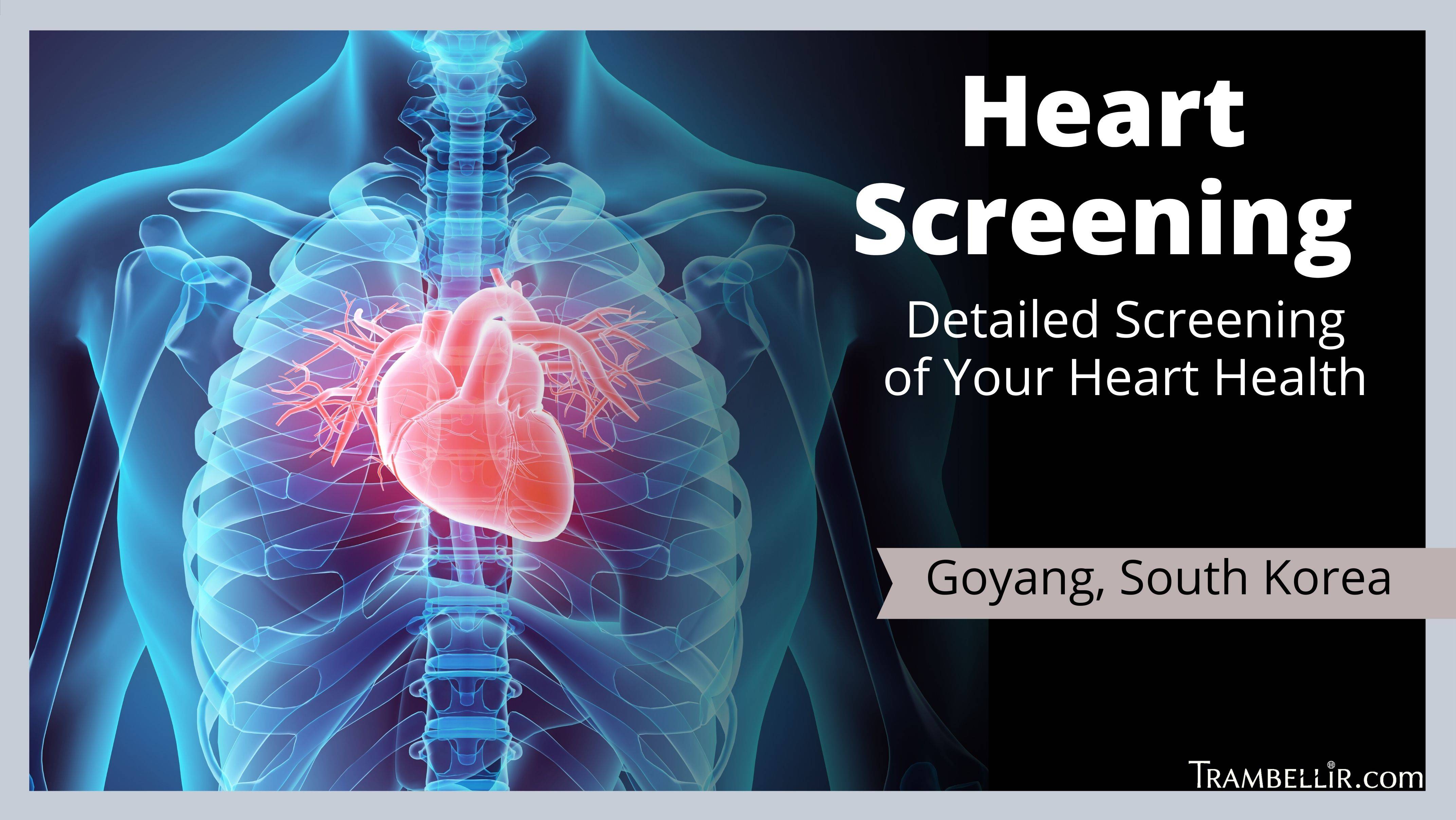 Basic Medical Screening (Health Performance Assessment) Trambellir